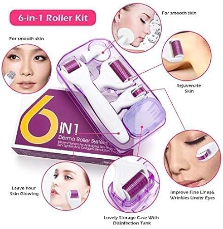 Ice Roller Derma Roller 5 in 1 Kit .25mm Titanium Microneedles, Ice Roller Dermaroller for Face and Body, 12/300/ 720/1200 Titanium Micro Needle