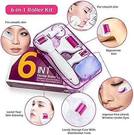 Ice Roller Derma Roller 5 in 1 Kit .25mm Titanium Microneedles, Ice Roller Dermaroller for Face and Body, 12/300/ 720/1200 Titanium Micro Needle