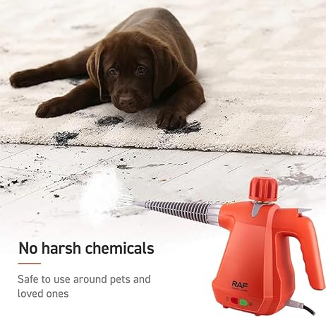 Steam Cleaner 1000W – 350ml Large Tank – 10-in-1 Multi-Purpose Cleaner with Extended Nozzle, Glass Brush, Towel Brush, and Accessories - RAF R.1372