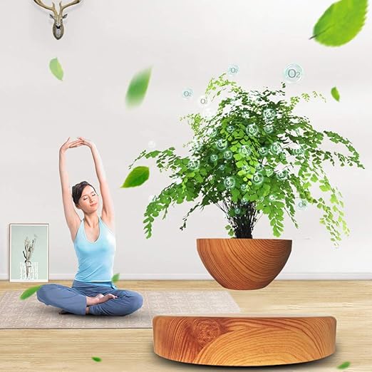 Levitating Air Bonsai Pot, Magnetic Suspension Levitating Air Flower Pots - Creative Design Levitation Bonsai - Home Office Decorations - Fun Gift,brown