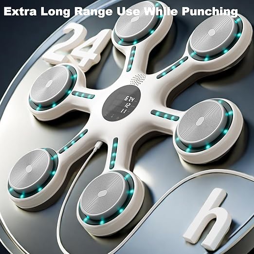 DesiKind Boxing Machine