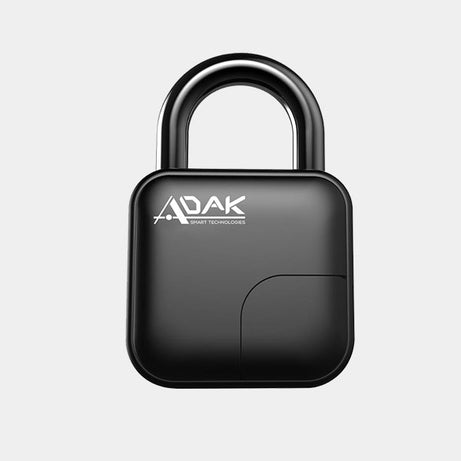 fingerprint padlock