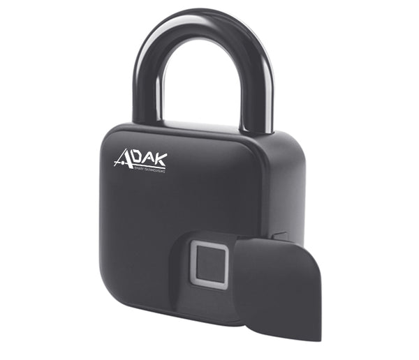 smart padlock